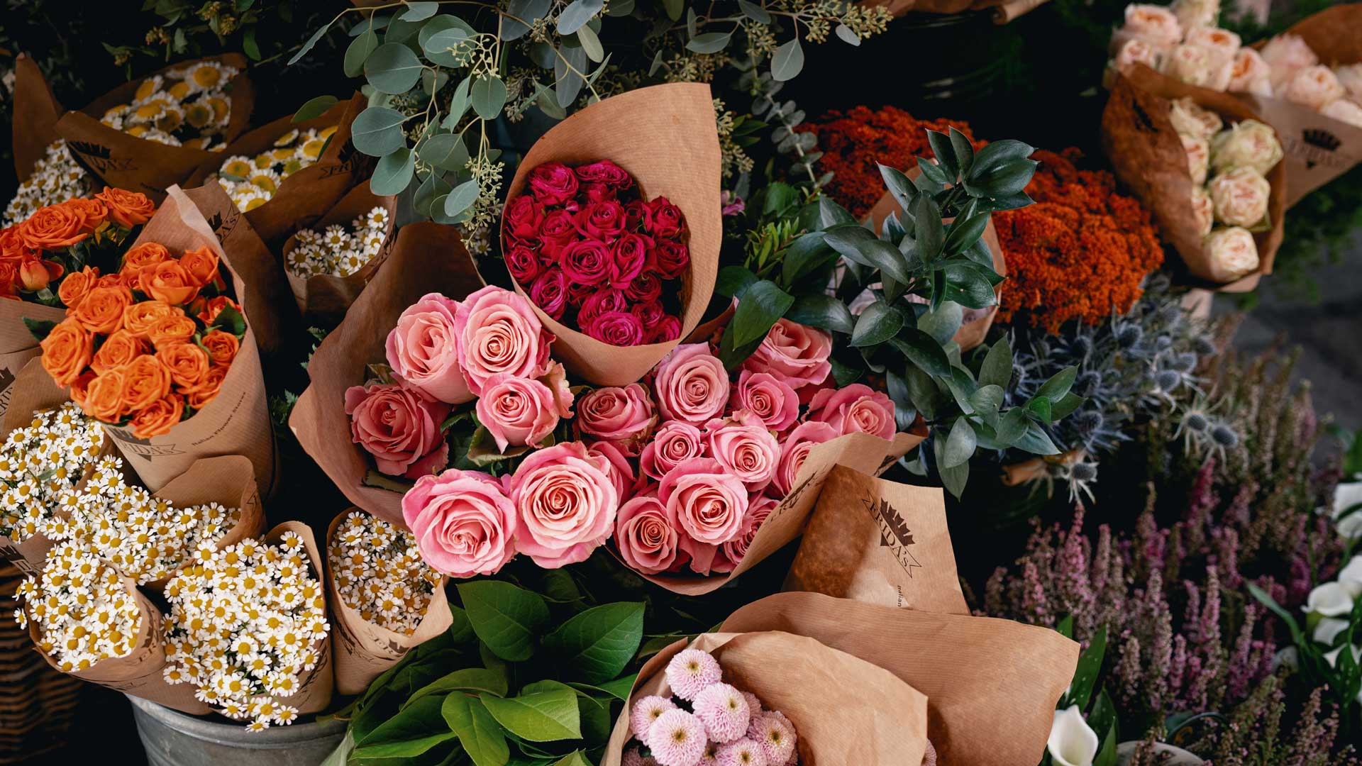 autumn-fridas Fiori e colori dell'autunno Frida's