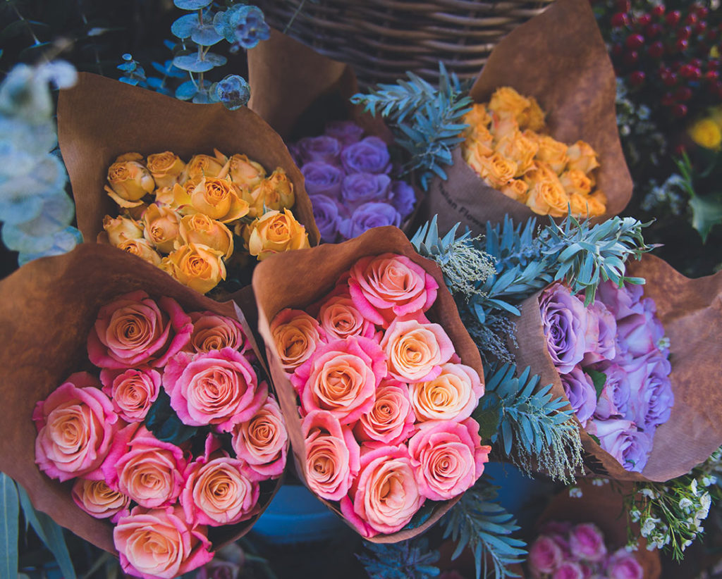 Franchising Rose e fiori colorati negli Stores di Frida's