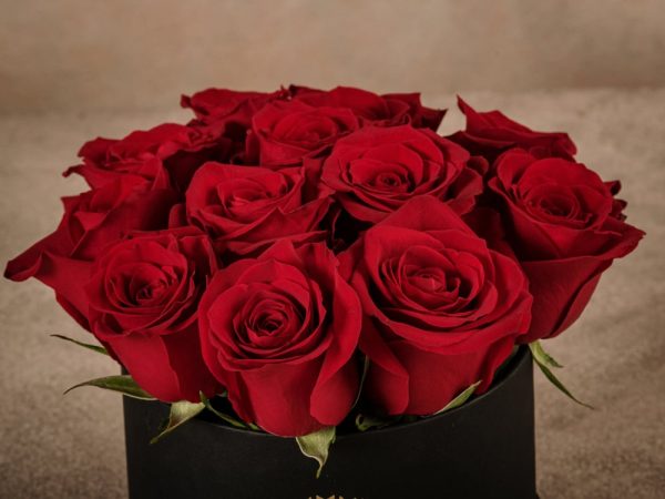 MediumRedRoseHatbox, high quality fresh roses home delivery