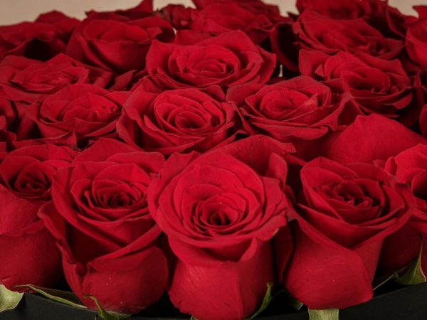 Cappelliera grande Rose Bianche, rose rosse di alta qualità in una scatola fatta a mano con marchio Frida's