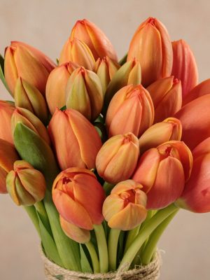 Bouquet di tulipani, creatività fiori freschi online con consegna a domicilio