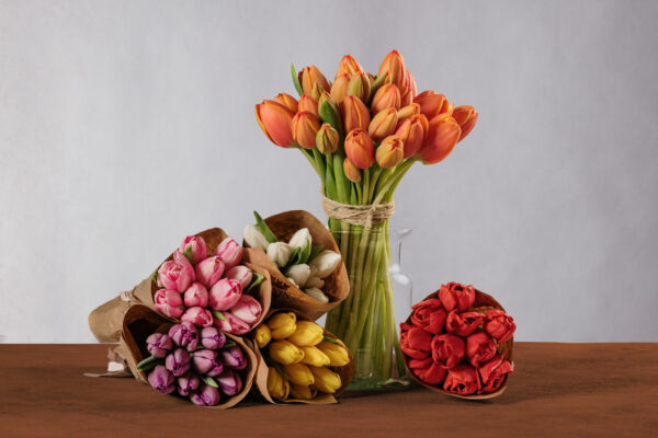 Bouquet Tulipani scegli il colore del tuo mazzo di tulipani. Tulipani arancio, tulipani rossi, tulipani rosa, tulipani bianchi, tulipani gialli, tulipani viola