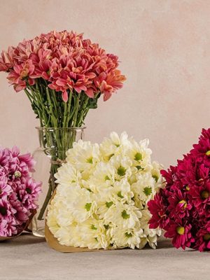 Bouquet Margherite, scegli il colore del tuo bouquet: salmone, bianco/avorio, rosa/lilla