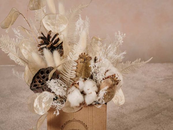 Box Artico, fiori di cotone e fiori secchi Frida's