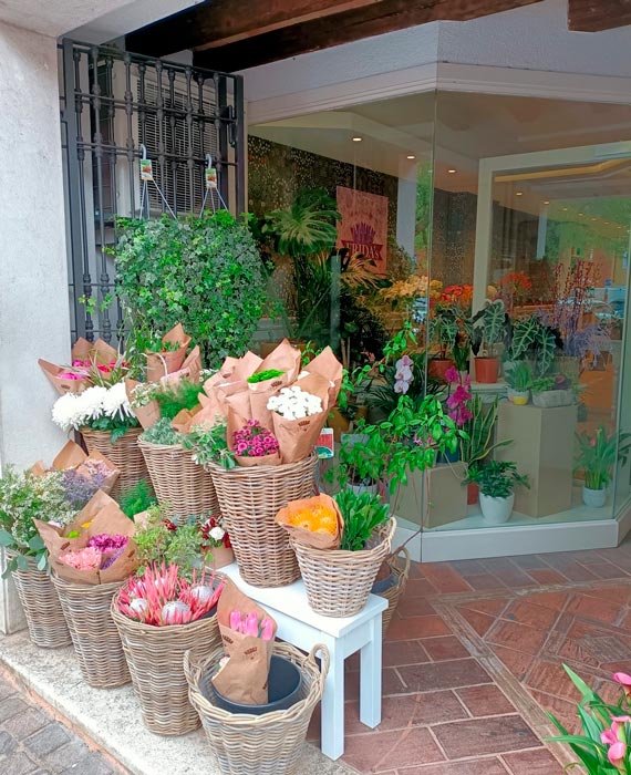 Frida's Store Desenzano
