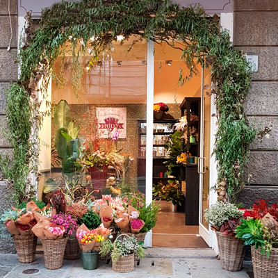 Frida's Store Parma