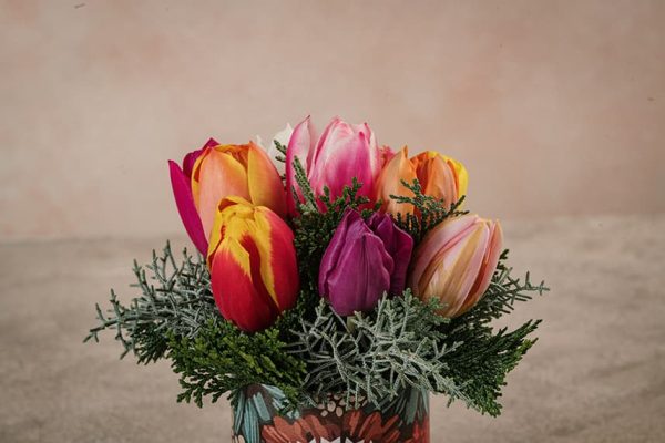Sushi Multi-Tulip tulipani colorati e conifere mix