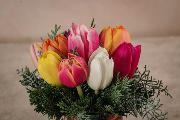 Sushi Multi-Tulip composizione floreale con tulipani colorati assortiti