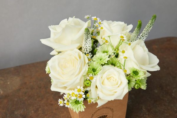 Box Candido composizione floreale di rose bianche, camomilla, margheritine verdi e veronica bianca