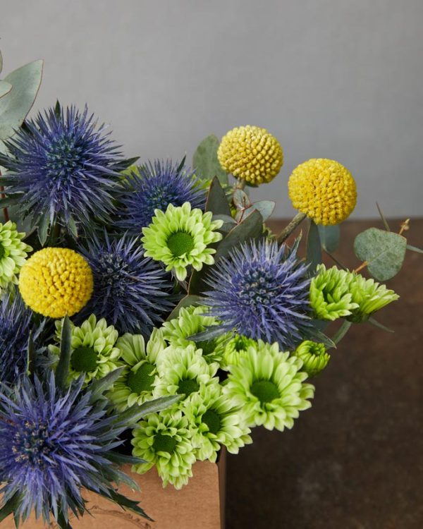 Box frizzante dettaglio di eryngium, craspedia, margheritine verdi e verde di stagione