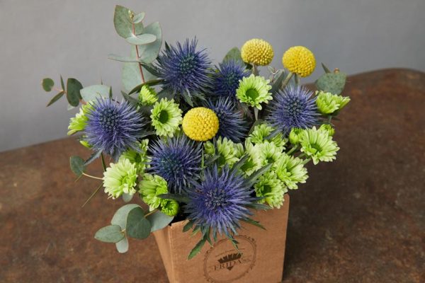 Box Frizzante composizione floreale di erygium, craspedia, margheritine verdi e verde di stagione