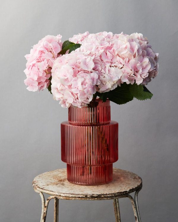 Bouquet Ortensie vaso con fiori di ortensia di diverse sfumature