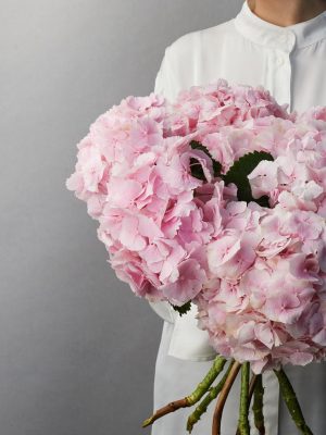 Bouquet di Ortensie di colore rosa
