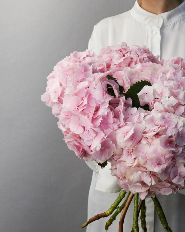 Bouquet di Ortensie di colore rosa