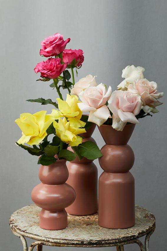 Bouquet di rose colorate, rose di alta qualità