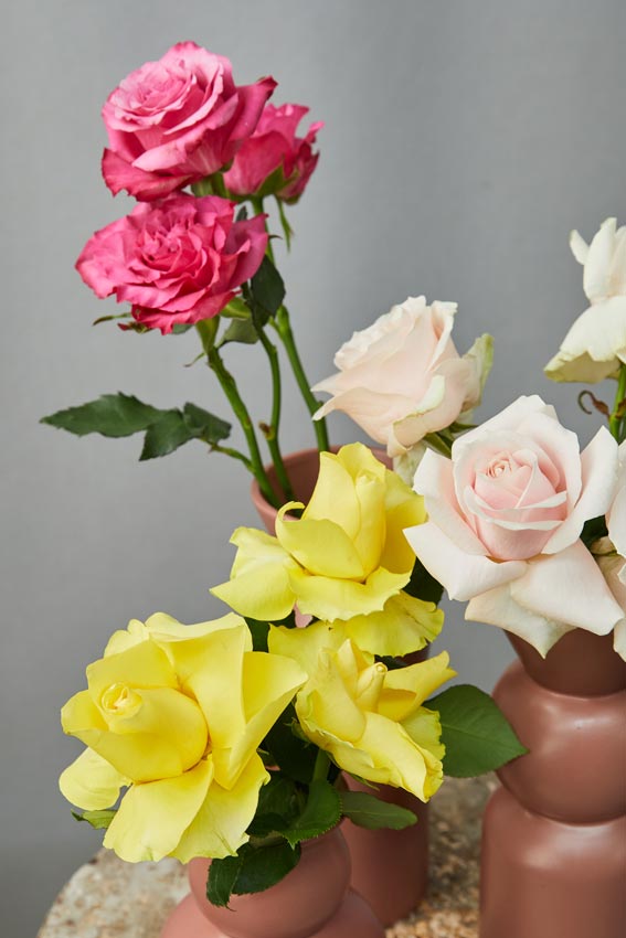 Bouquet di rose colorate, rose fucsia, rosa e gialle