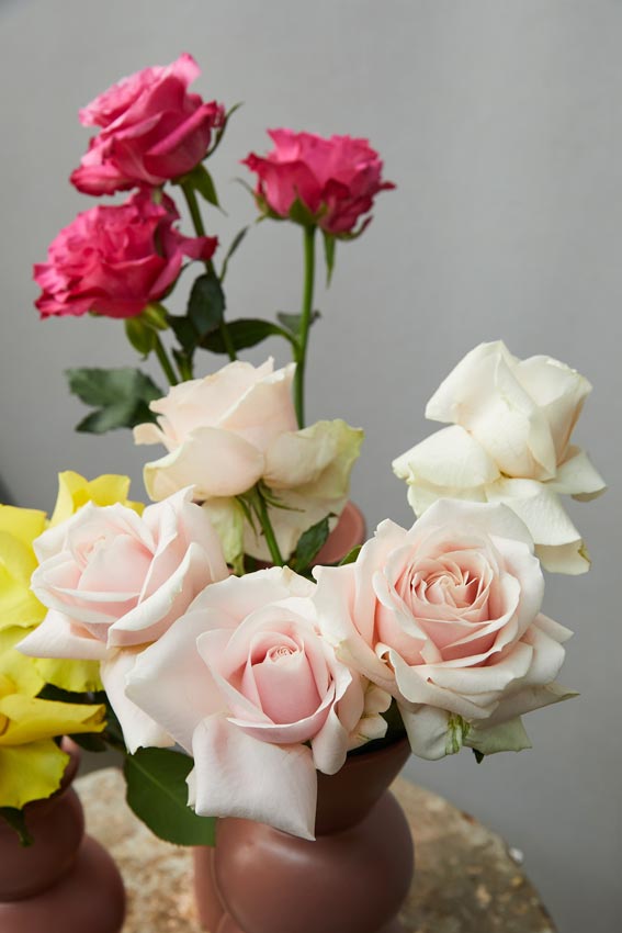 Bouquet di rose colorate, rose fucsia e rosa chiaro