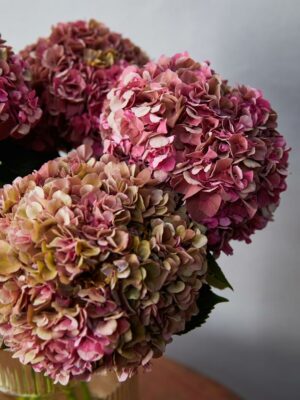 Bouquet Ortensie fiori di ortensia di colore rosa