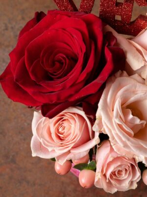 KENTIS - Bouquet di 12 Rose Fucsia a Stelo Lungo 50 cm - Mazzo di Fiori  Freschi a Domicilio in Italia - Rose Vere Regalo : : Giardino e  giardinaggio