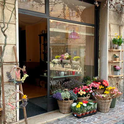Frida's Store Borgo Valsugana