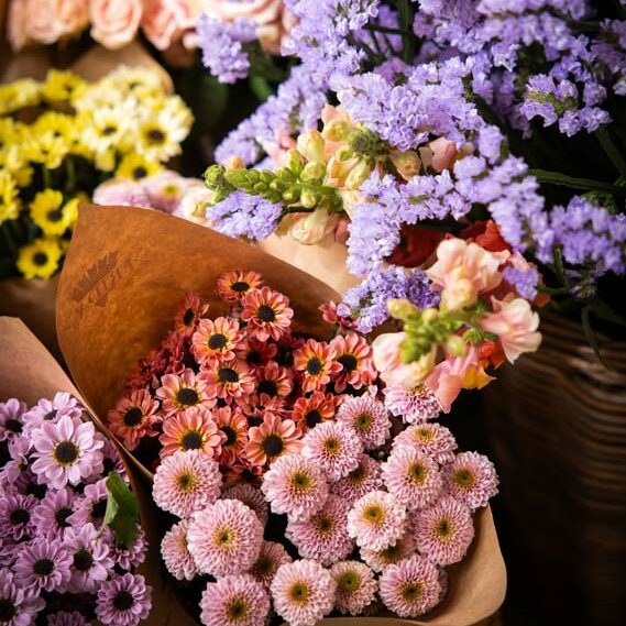 Frida's Store Pistoia