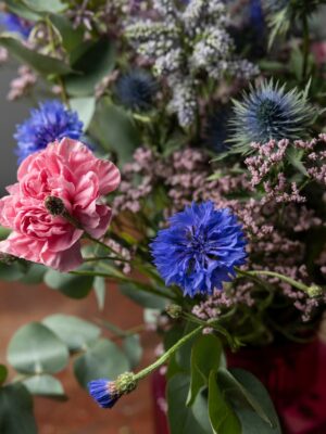 Bouquet Sweet Dreams, bouquet di allium, eryngium, salomio rosa e verde di stagione