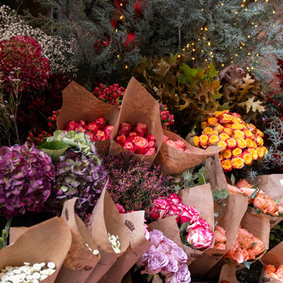 Frida's Store Brignano. Il negozio di fiori sempre freschi.