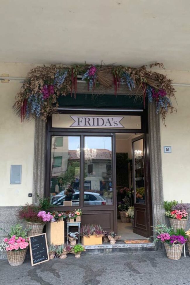 Frida's Store Busto Garolfo