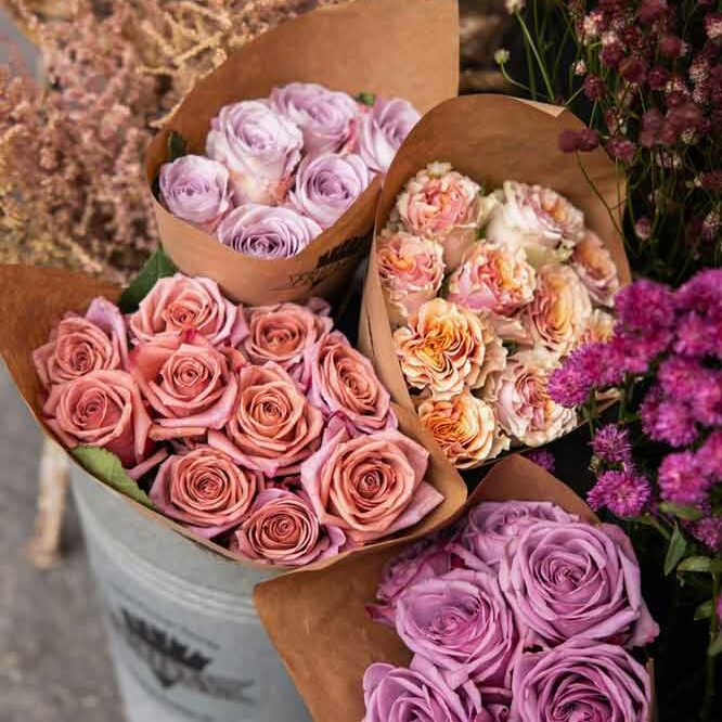 Frida’s Store Frida's Store