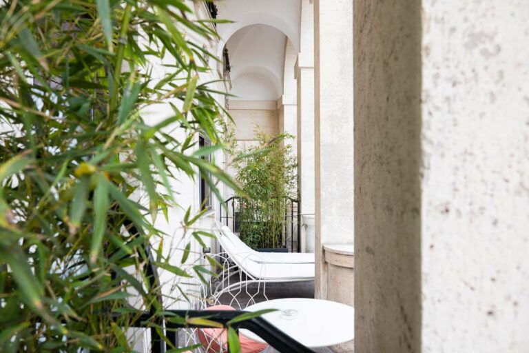 Primo piano piante su terrazzo