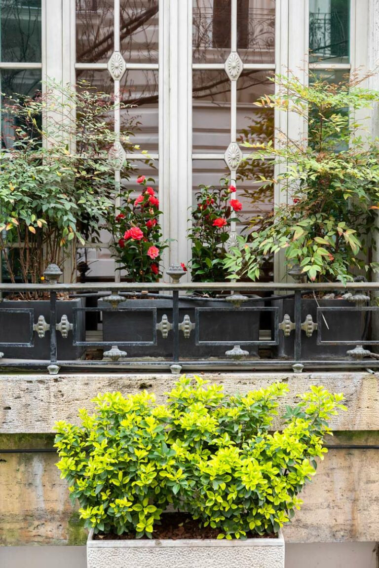 Fiori su balconi e davanzali