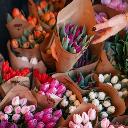 Frida's Shop Caldogno